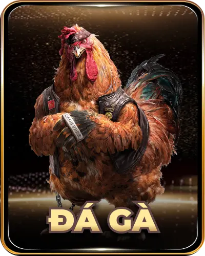 Đá gà Alo789